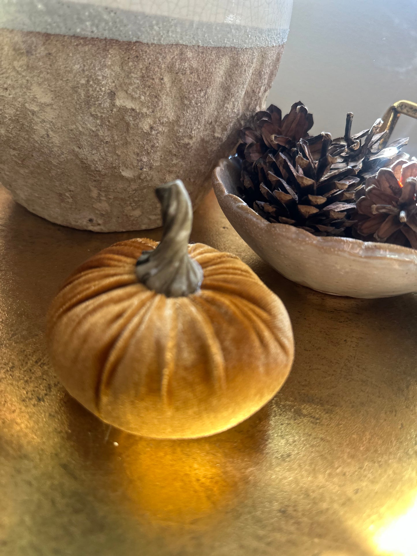 Luxury Velvet Pumpkins choice of two Colours