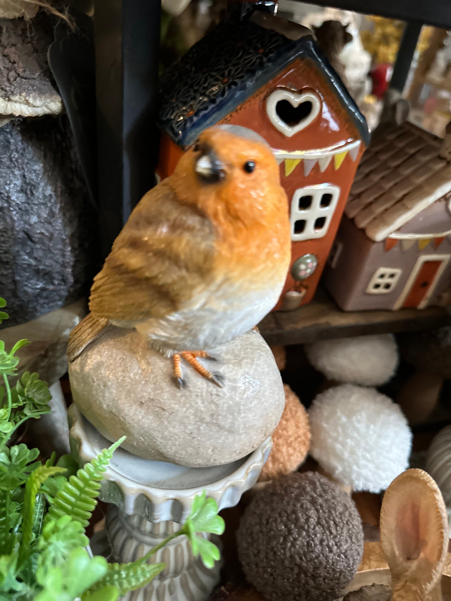 Robin on a Stone