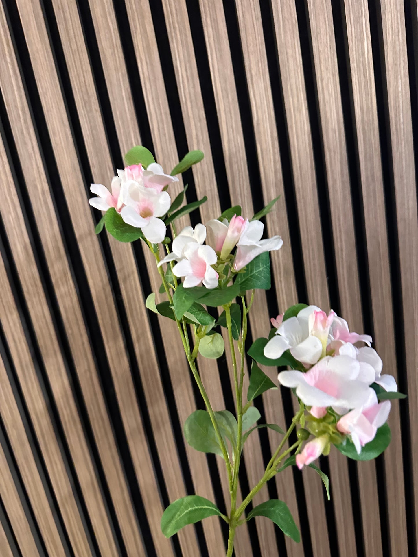 Pink Cream Bell Flower Stem
