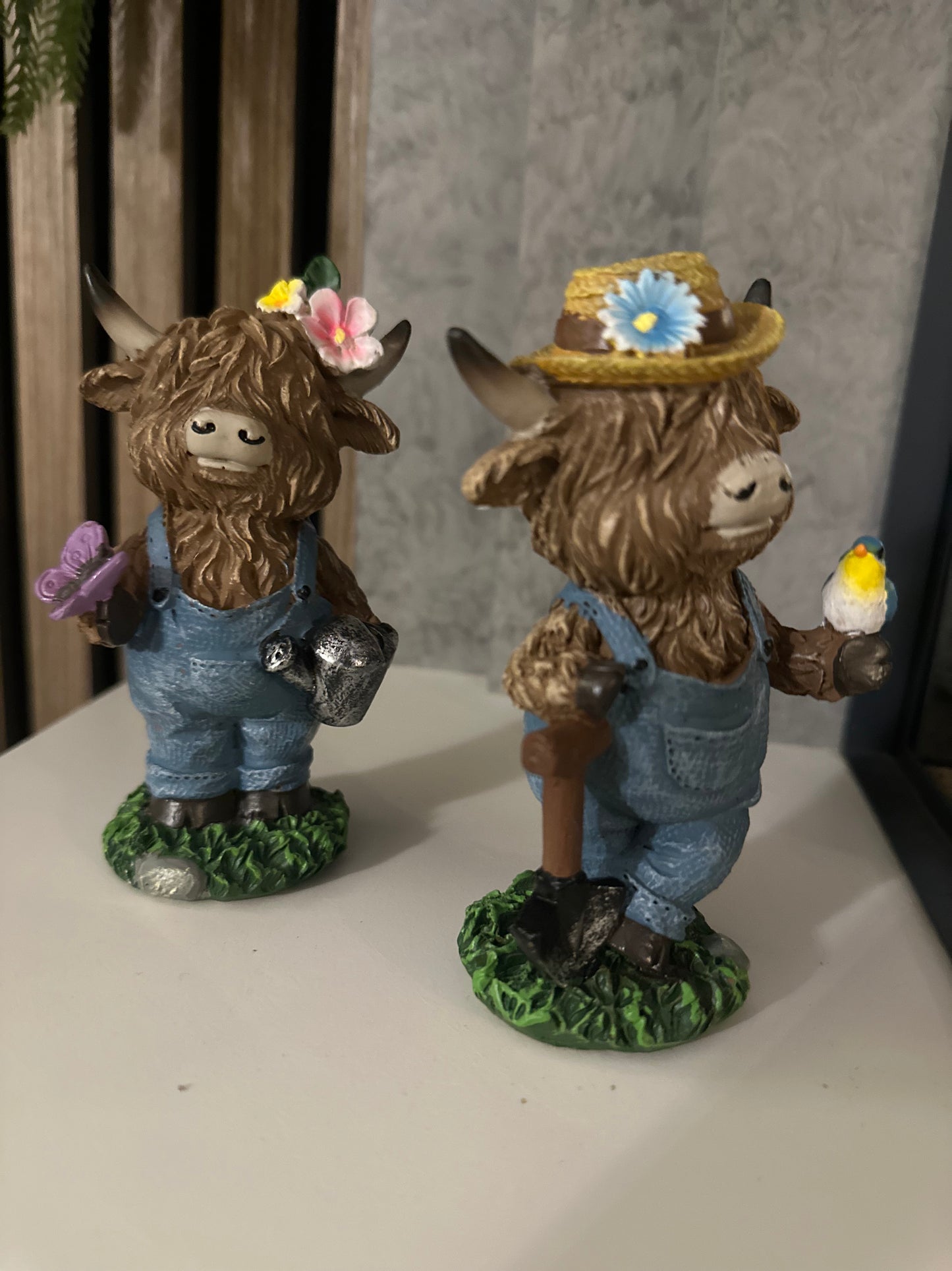 Standing Highland Cows | Choice of Two Boy or Girl