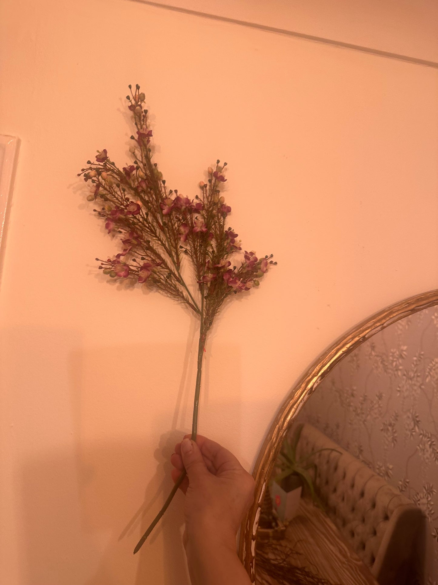 Waxflower Chamelaucium Spray Purple