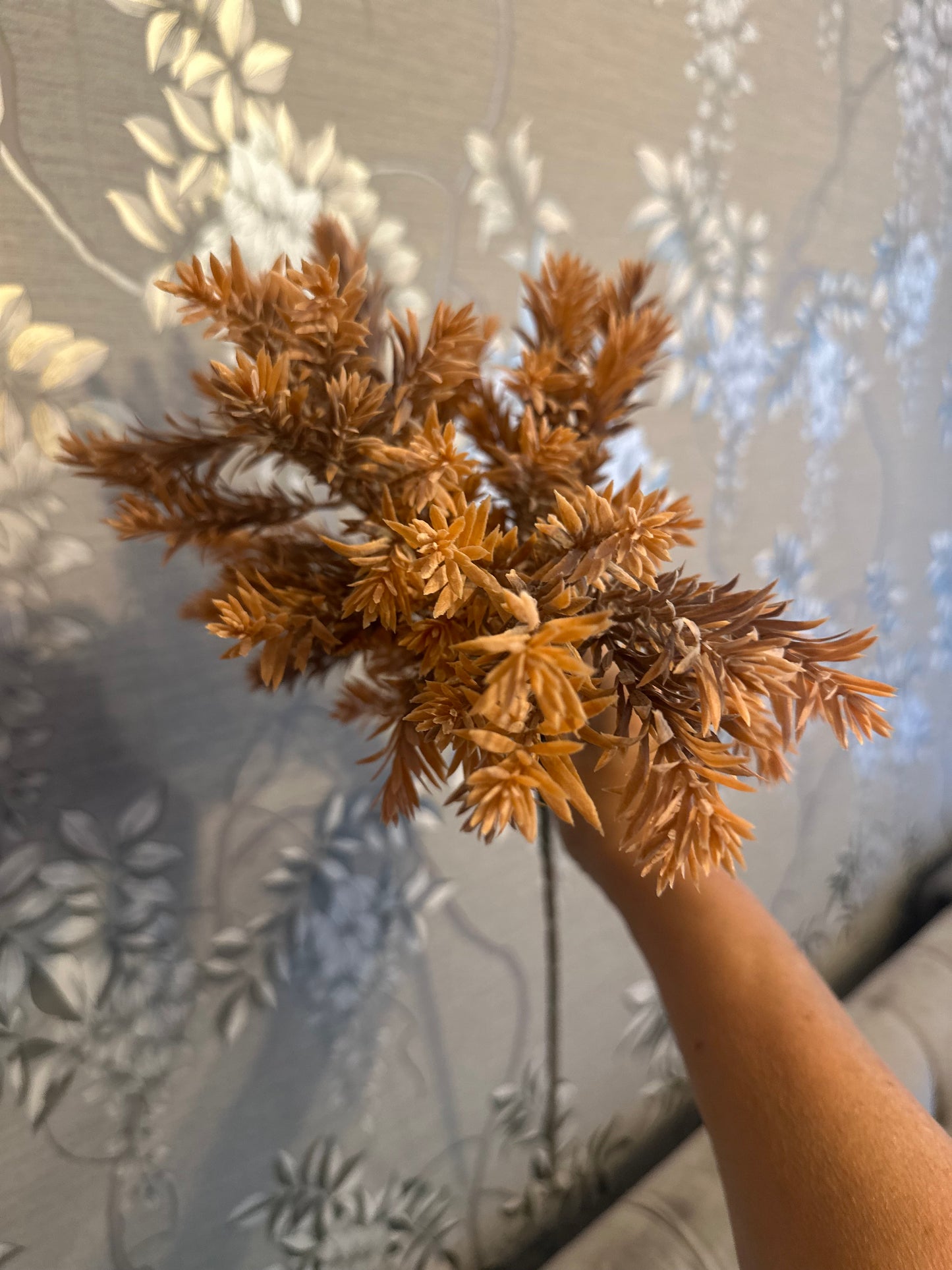 Raven Leaf Spray - Orange