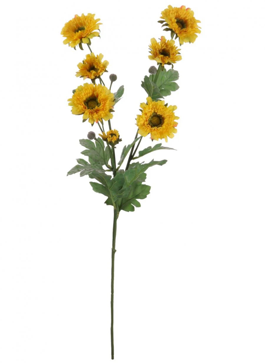 Wild Gerbera Spray Choice of 2 Colours