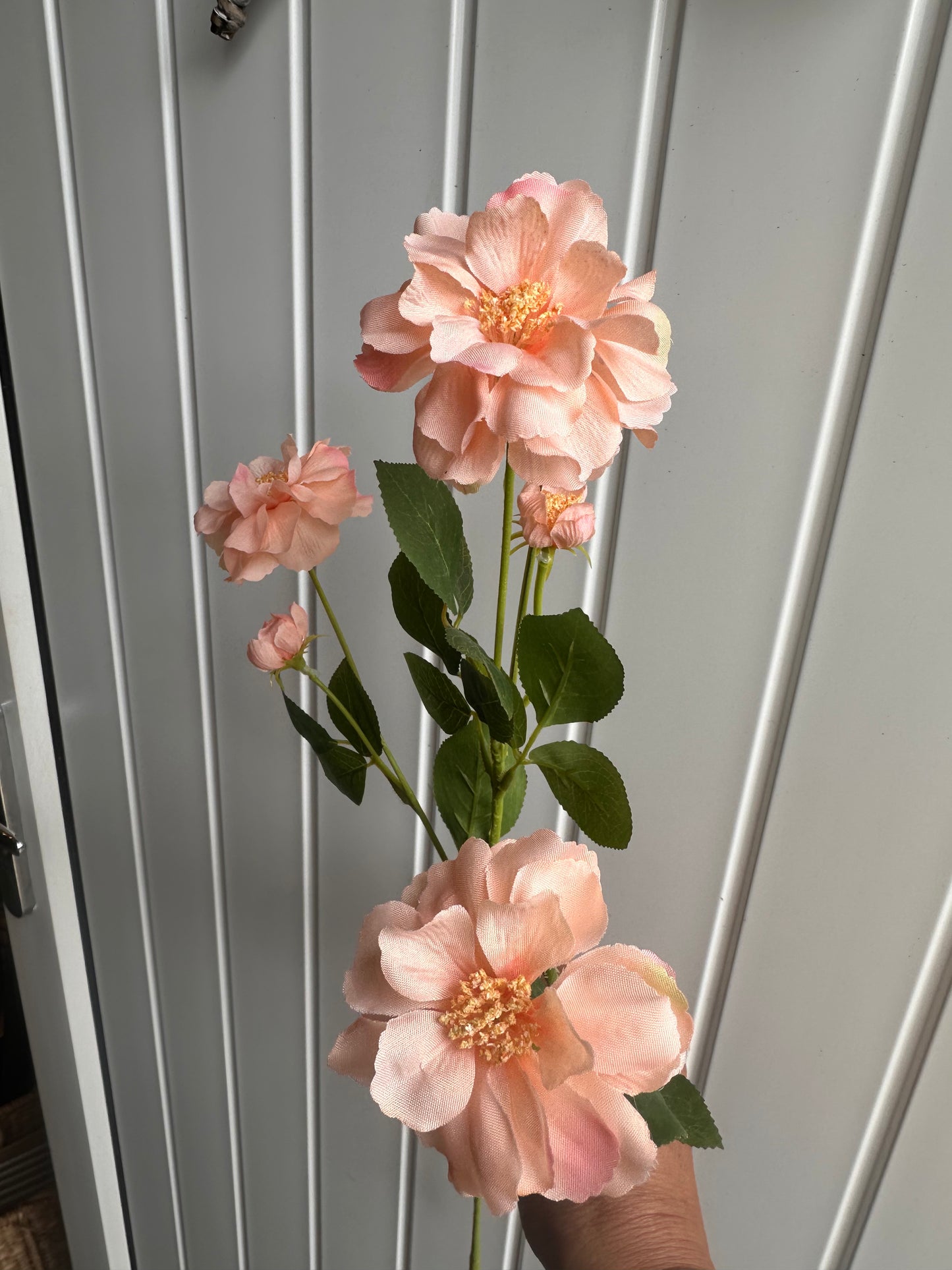 Anastasia Peach Spray