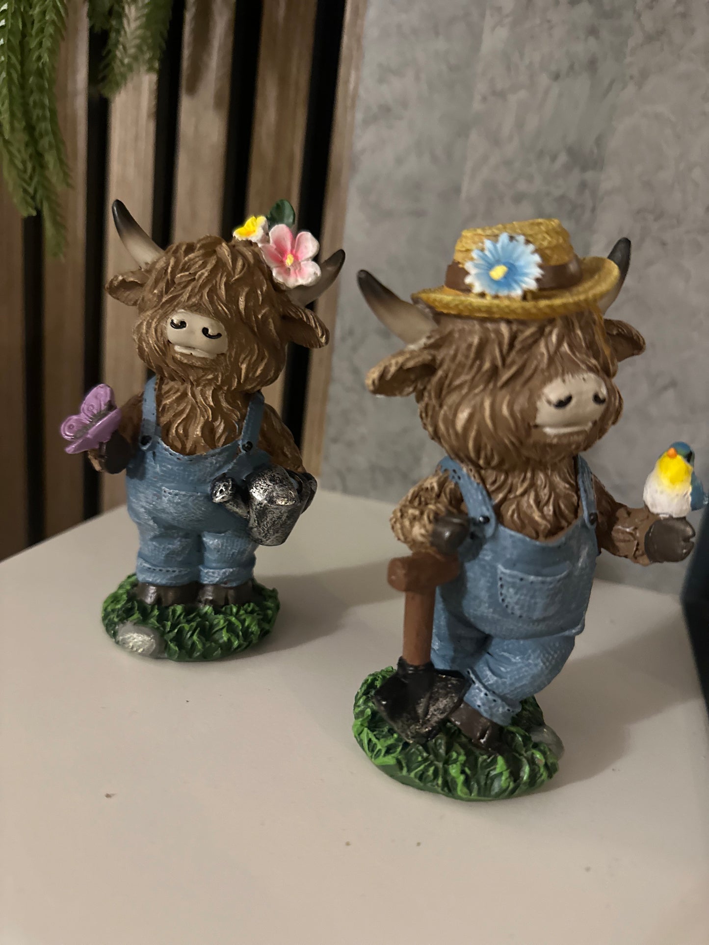 Standing Highland Cows | Choice of Two Boy or Girl