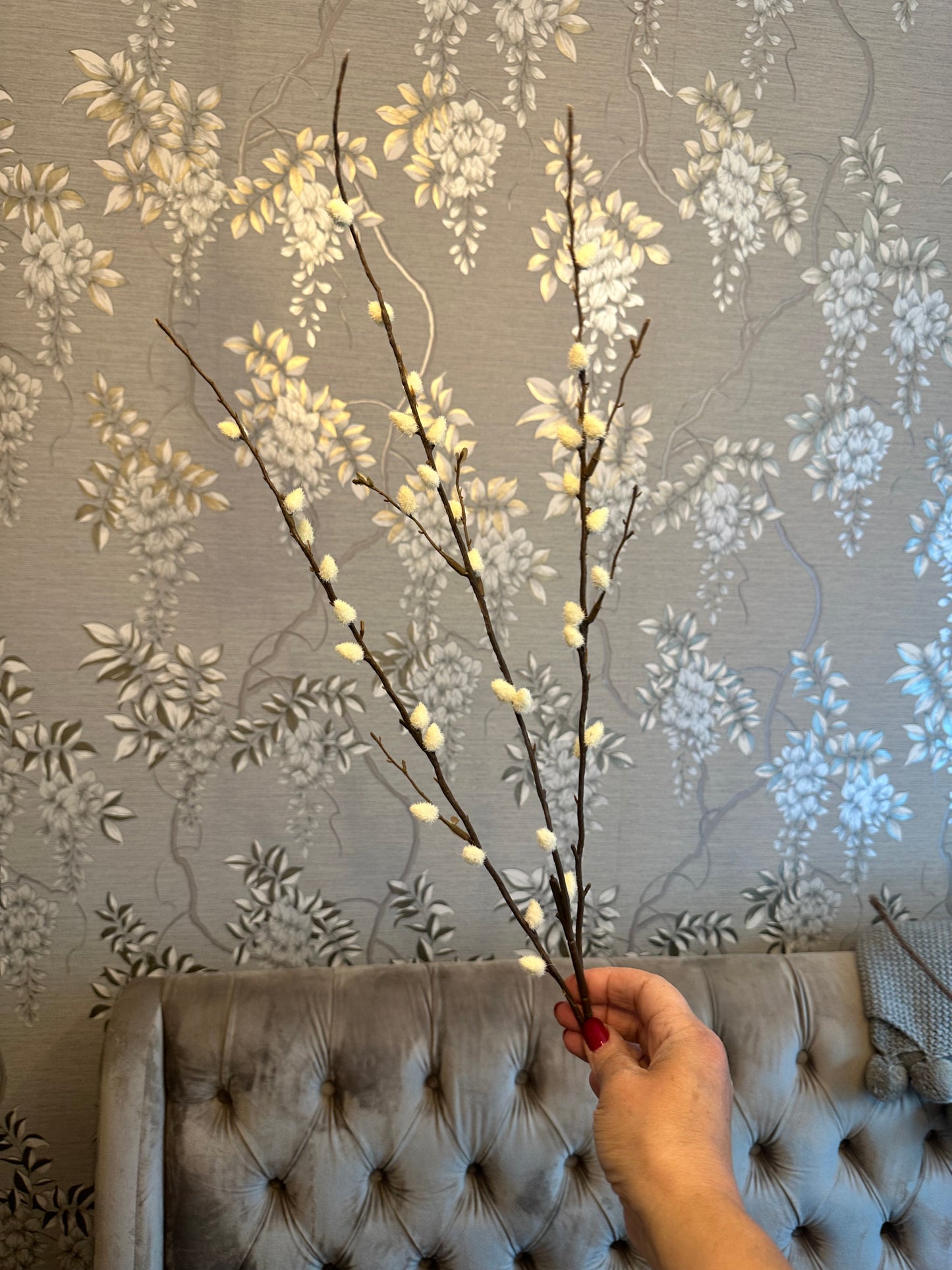 Luxury Tall Pussy Willow