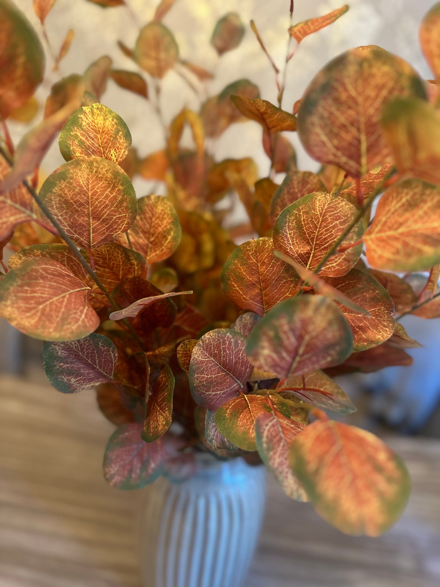 Silver Dollar Eucalyptus Stem