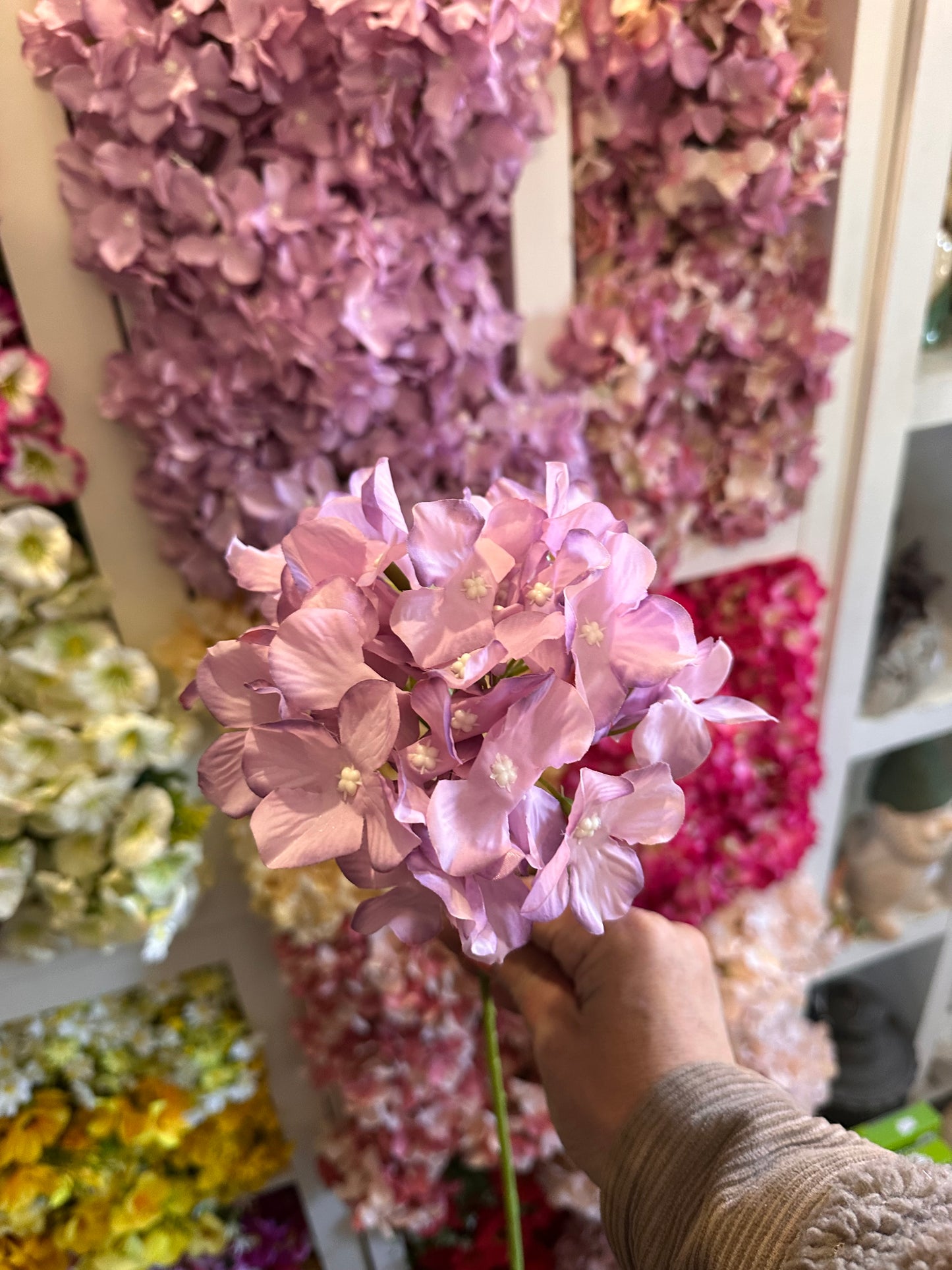 Hydrangea Stems Choice Of Five Colours