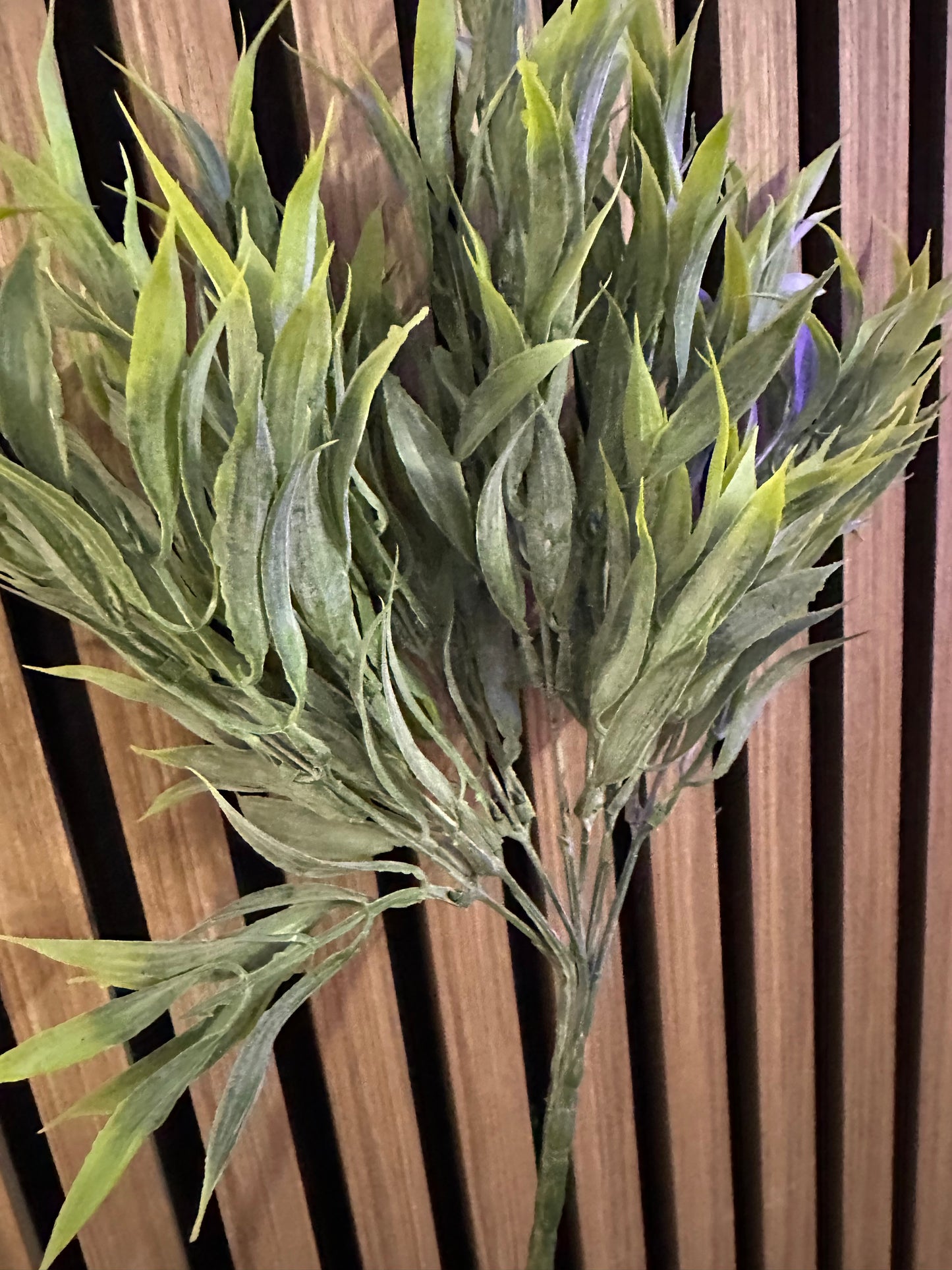 Wild Grass Stem