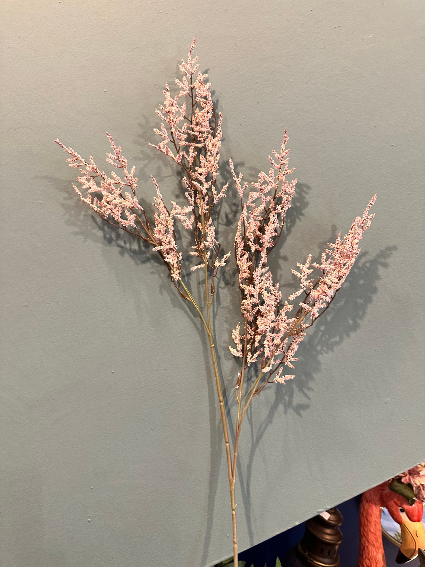 Limonium Spray