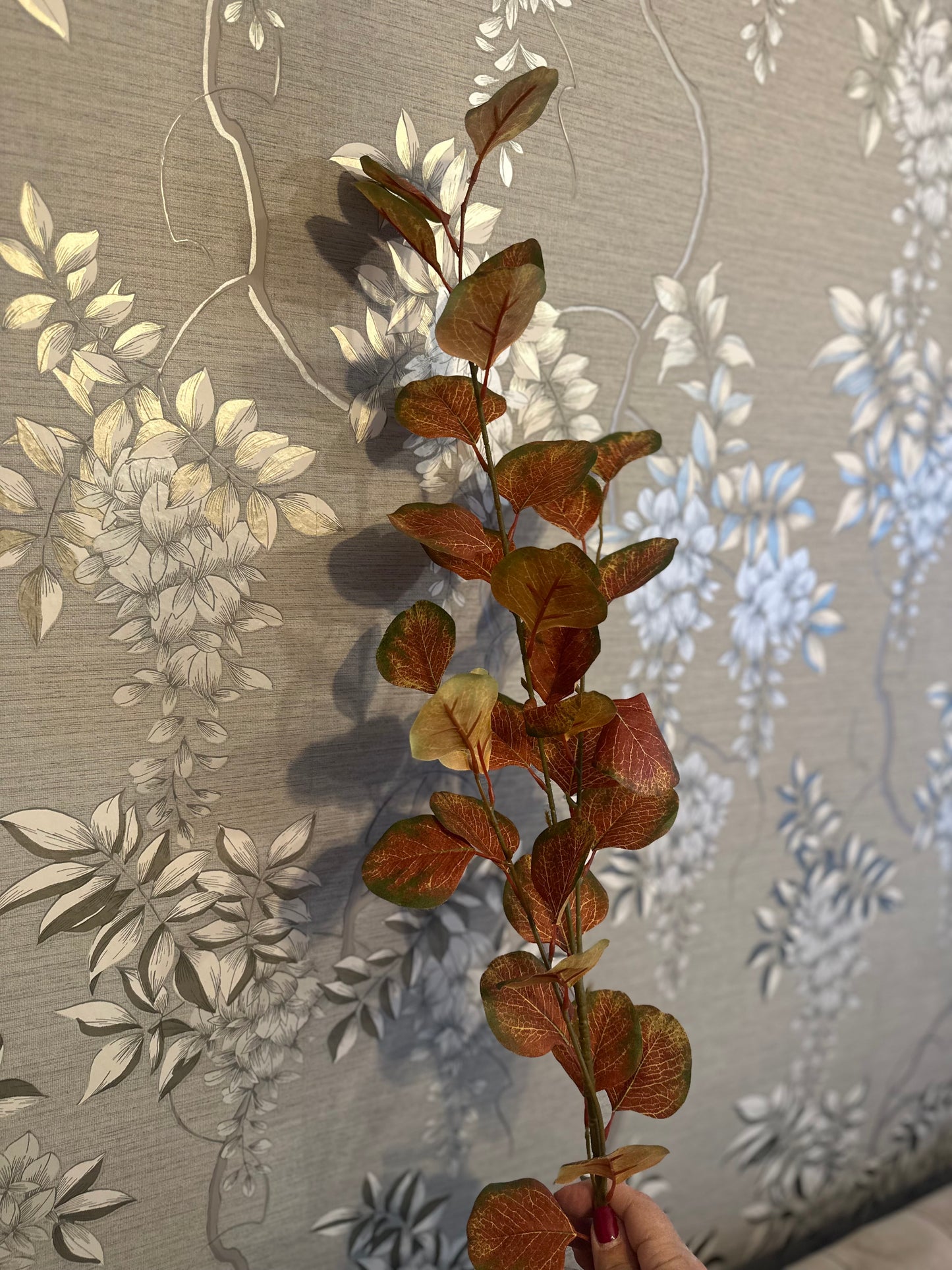 Silver Dollar Eucalyptus Stem