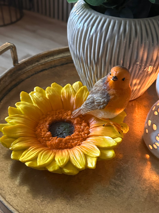 Robin on Sunflower 🌻