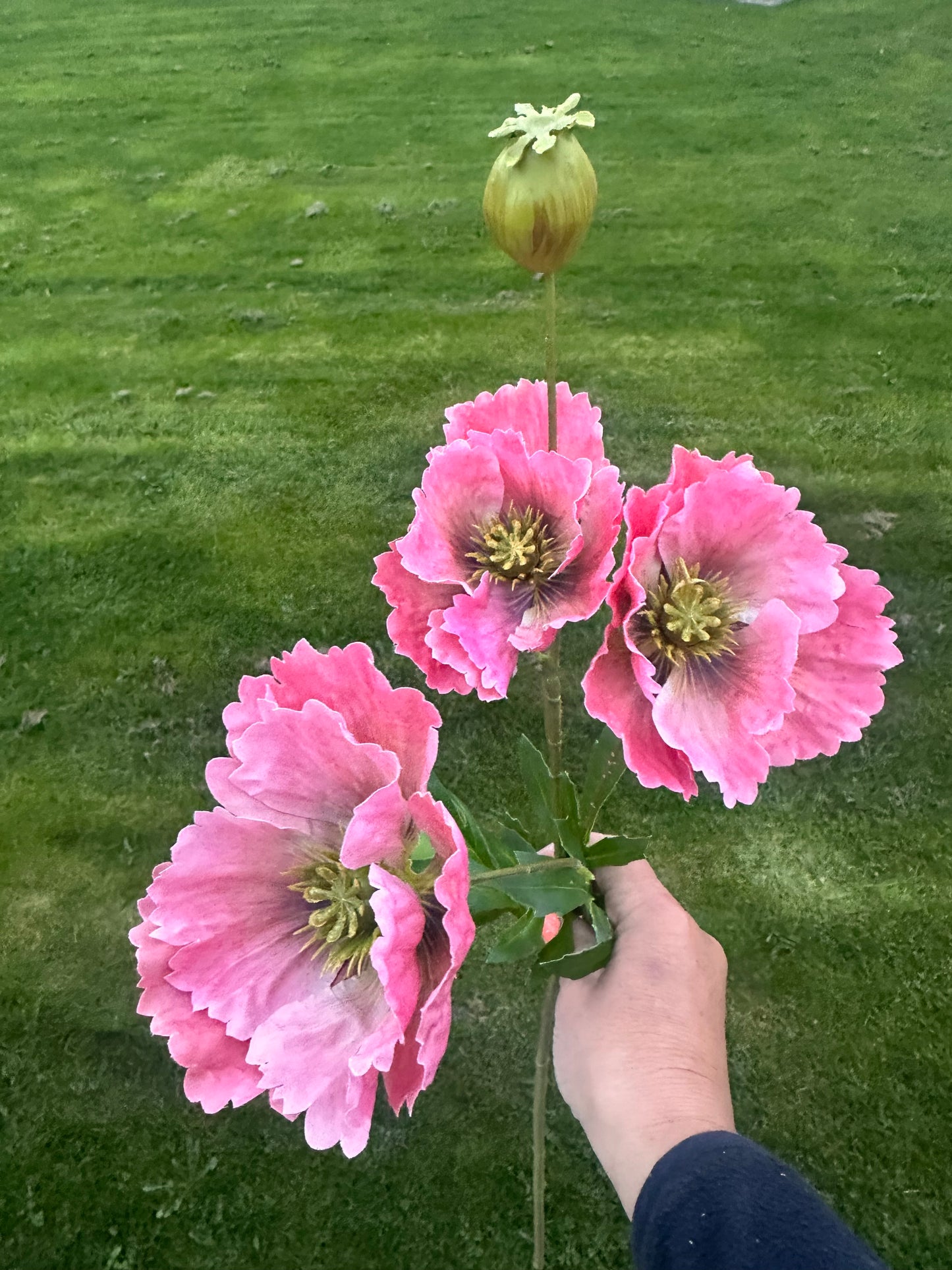 Faux Poppy Stem - Choice of Two Colours
