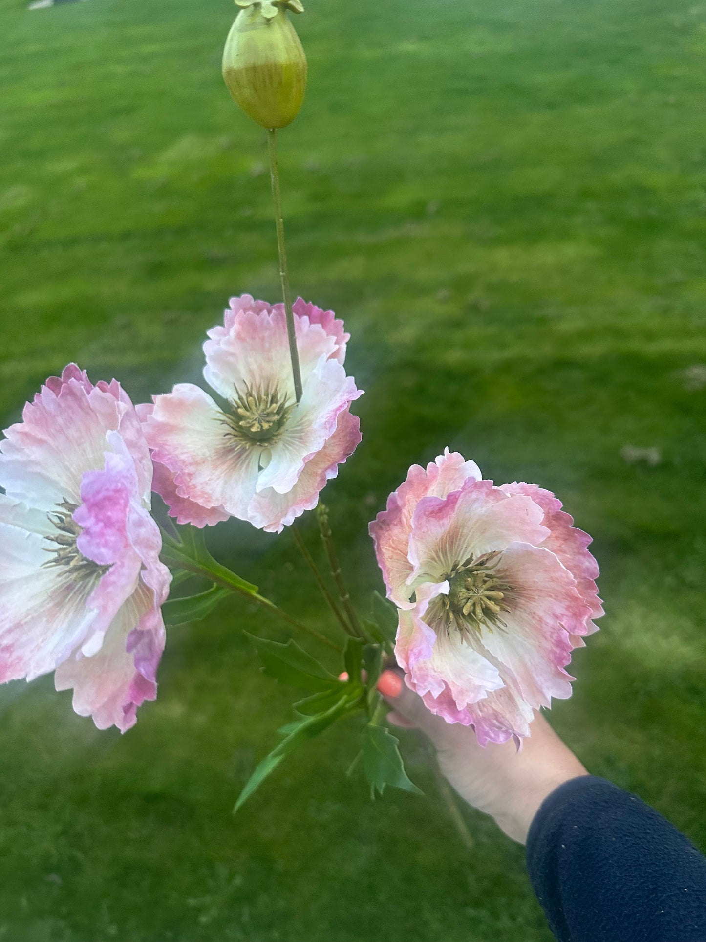Faux Poppy Stem - Choice of Two Colours
