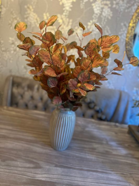 Silver Dollar Eucalyptus Stem