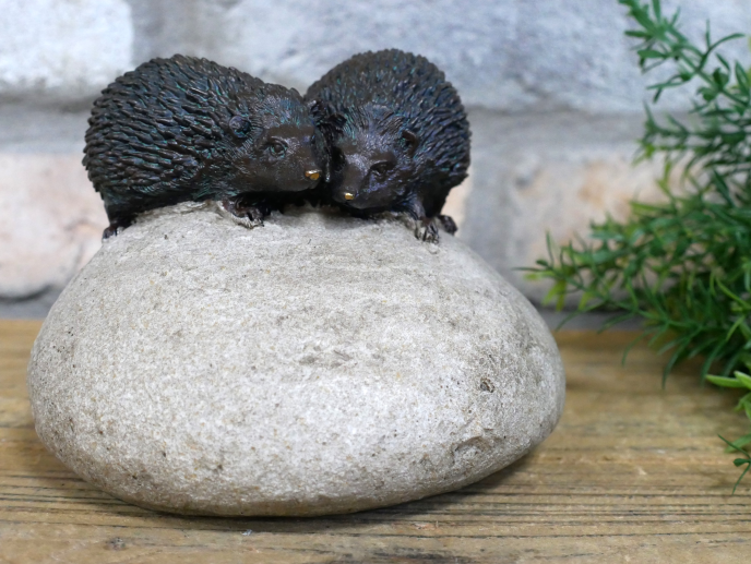 Hedgehogs on Stone