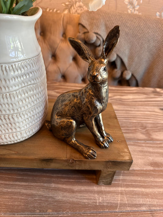 Bronzed Sitting Hare