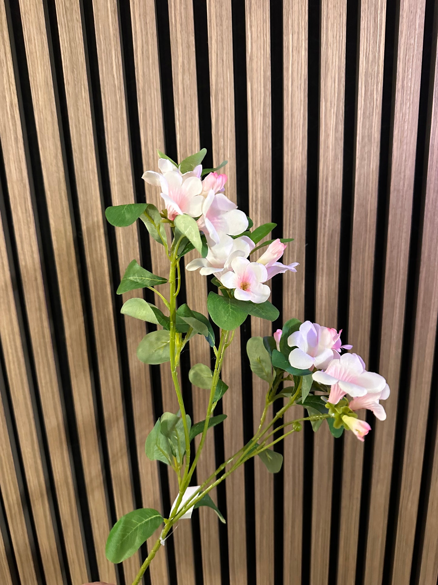 Pink Cream Bell Flower Stem