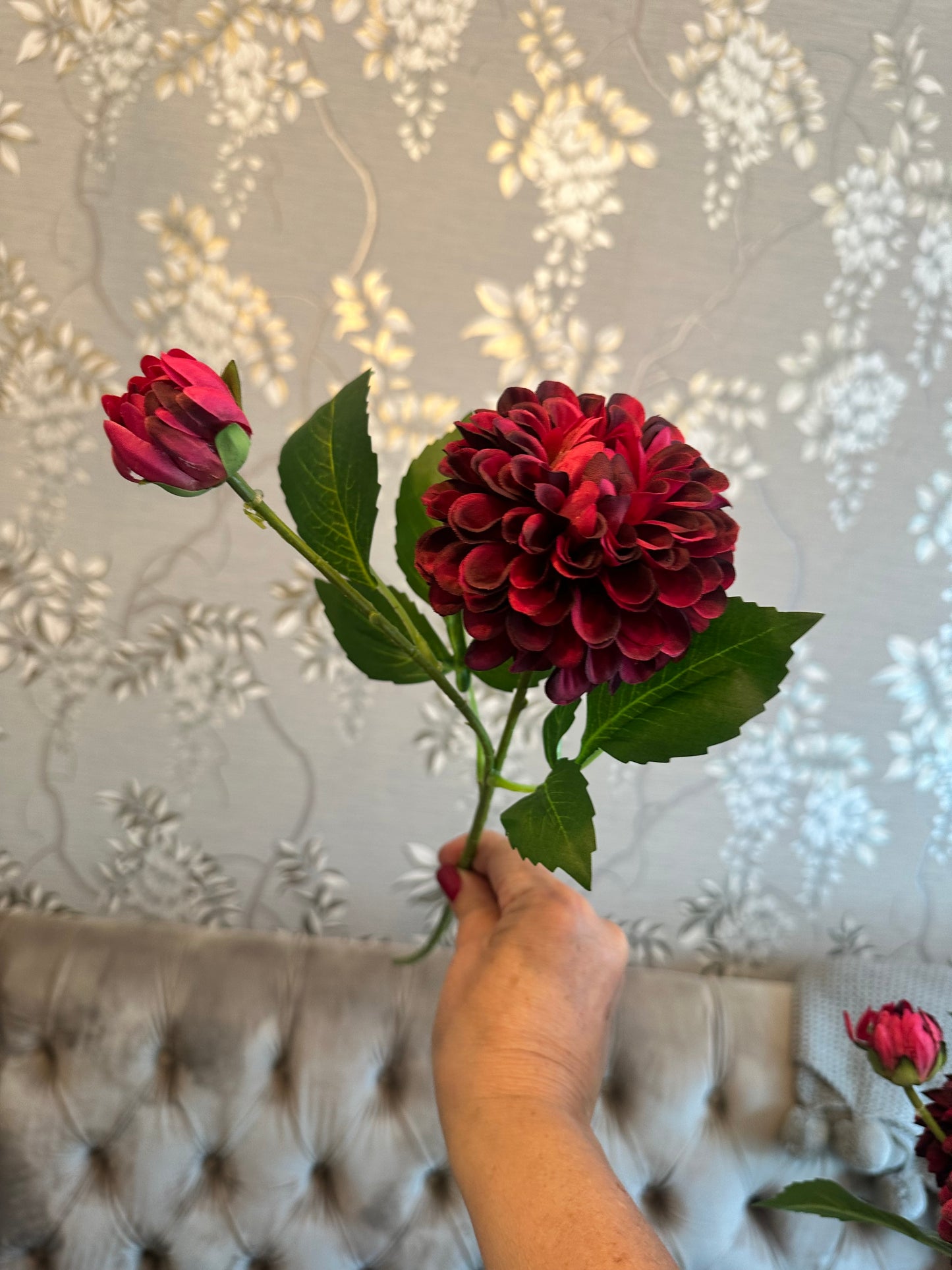 Dahlia Pom Pom Stem