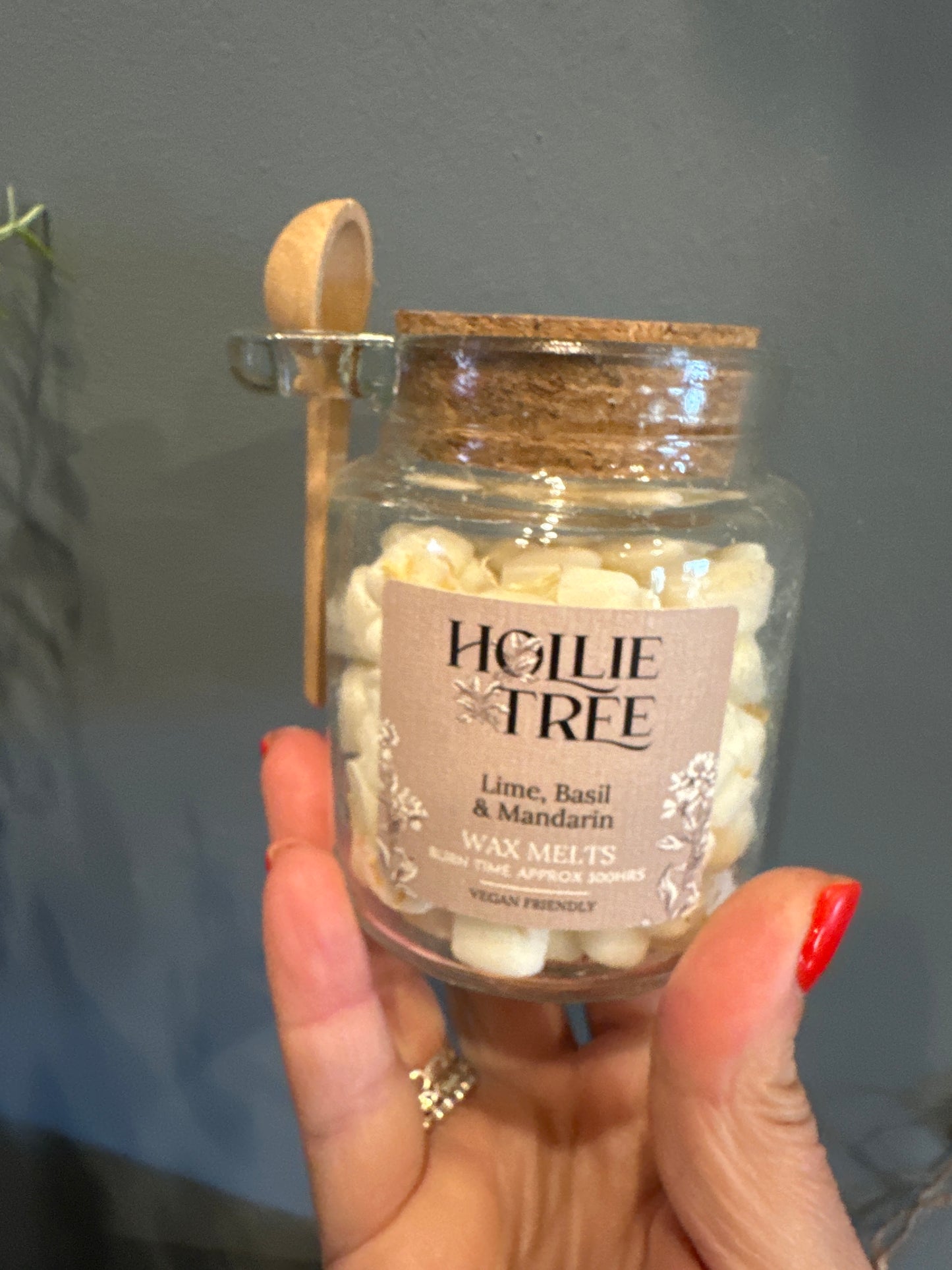Hollie Tree Wax Pot Melts