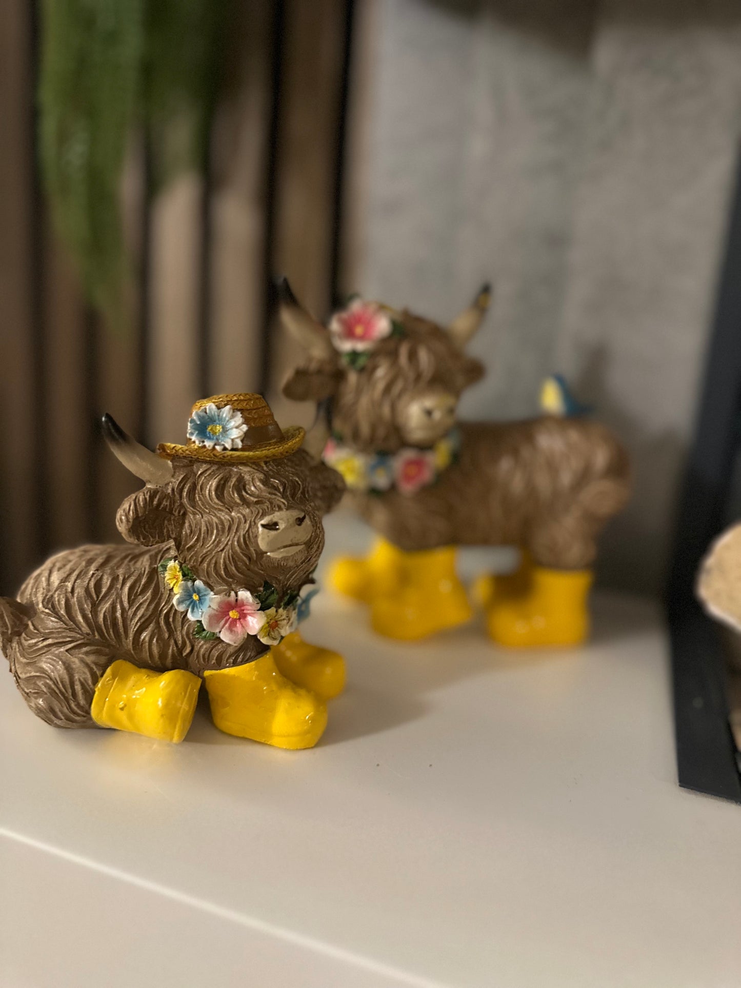 Highland Cows with Yellow Wellies | Choice of Two