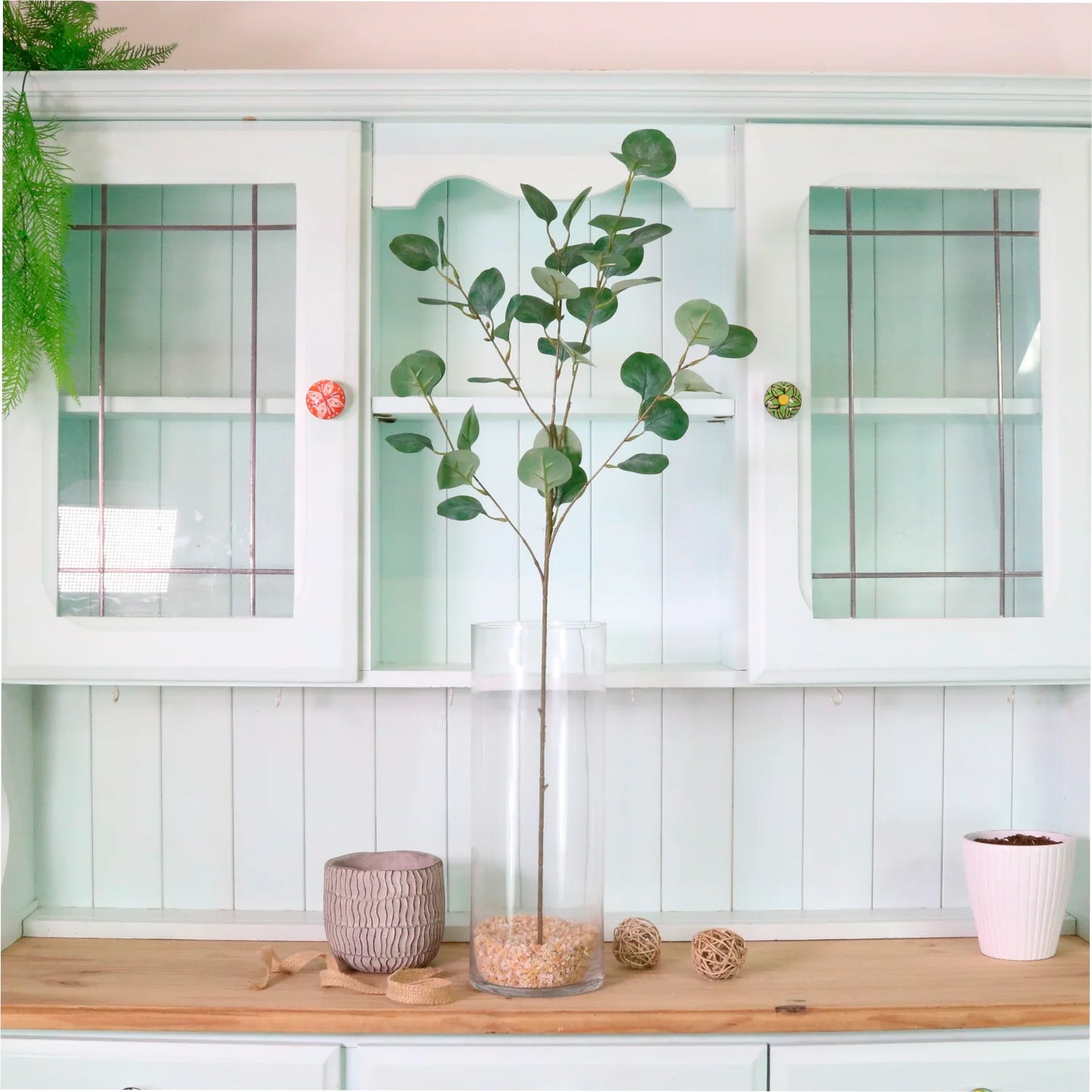 Natural Silver Dollar Eucalyptus