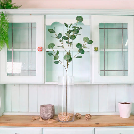 Natural Silver Dollar Eucalyptus