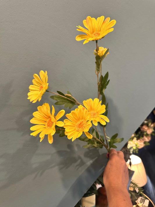 Yellow Daisy Spray