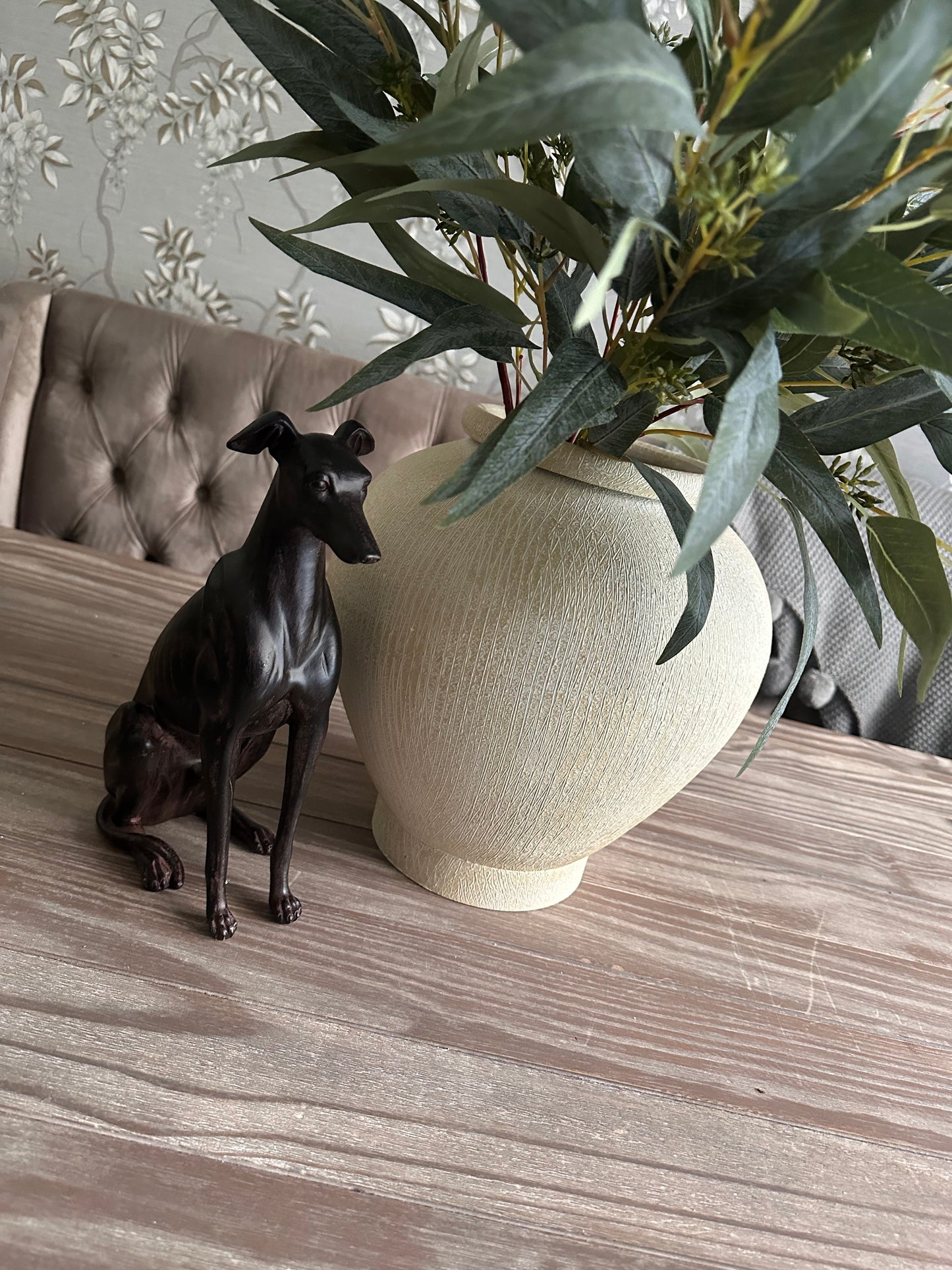 Stunning Sitting Dog