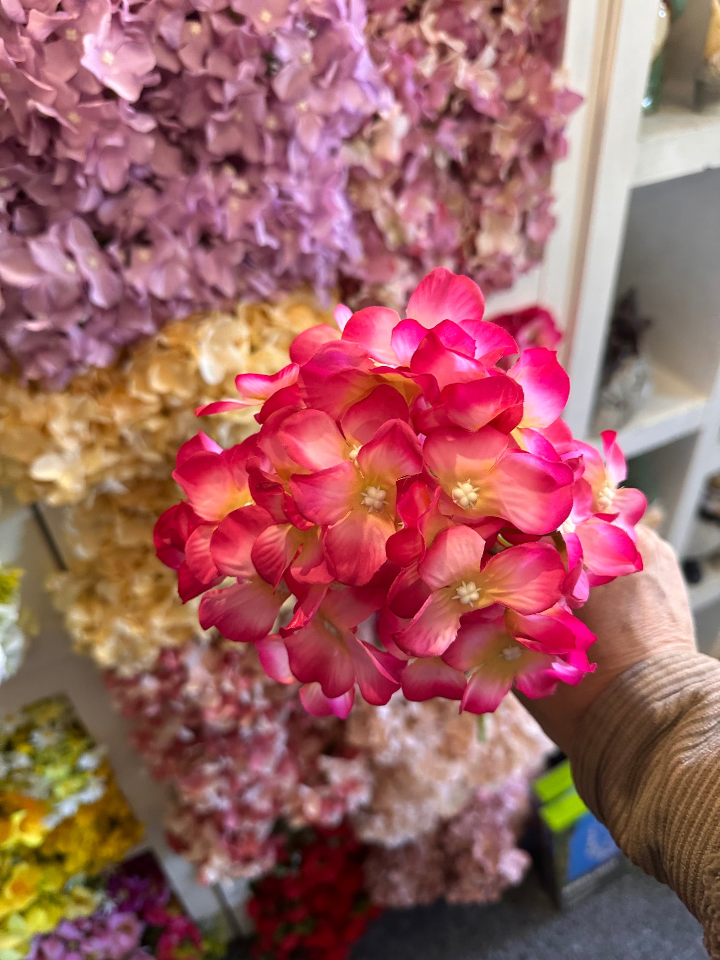 Hydrangea Stems Choice Of Five Colours