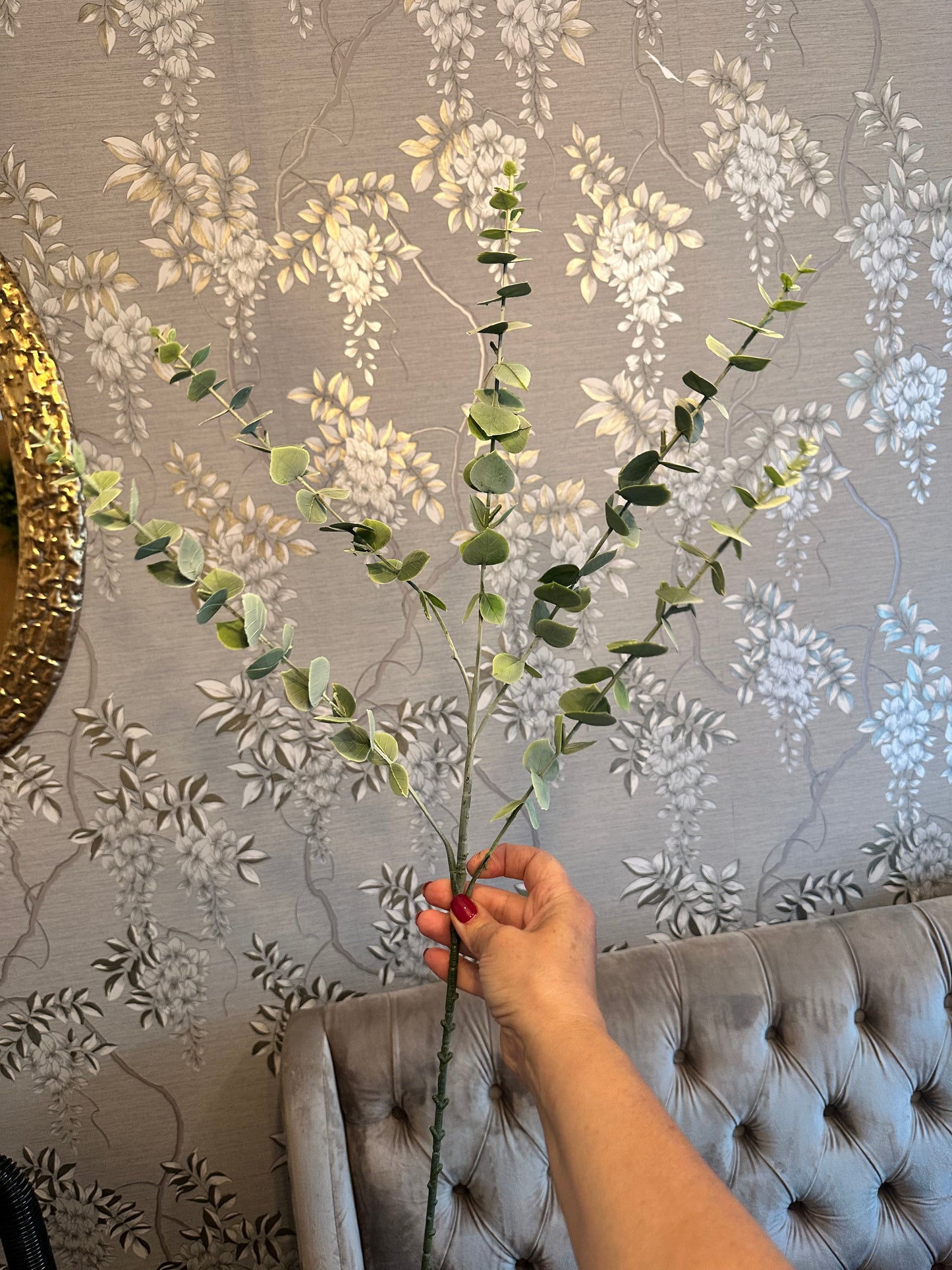 Tall Stemmed Spiky Eucalyptus