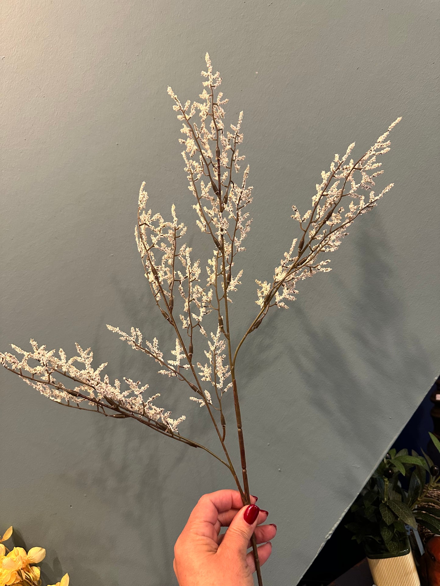 Limonium Spray