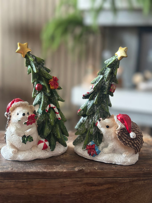 Adorable Hedgehogs | Choice of Two