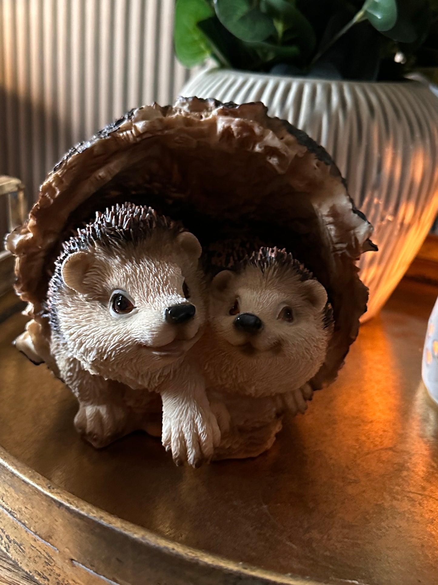 Resin Hedgehogs in Tree Bark