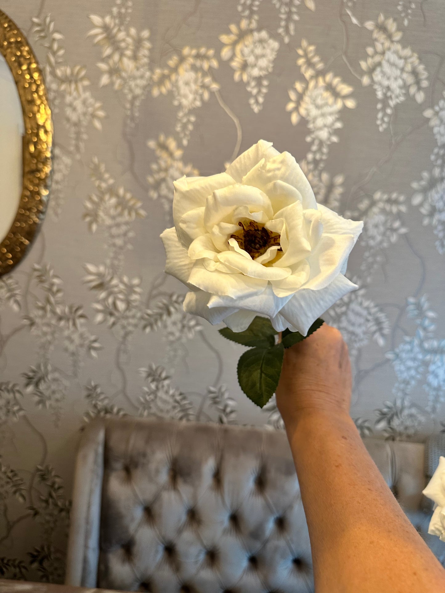 Ivory Long Stemmed Rose