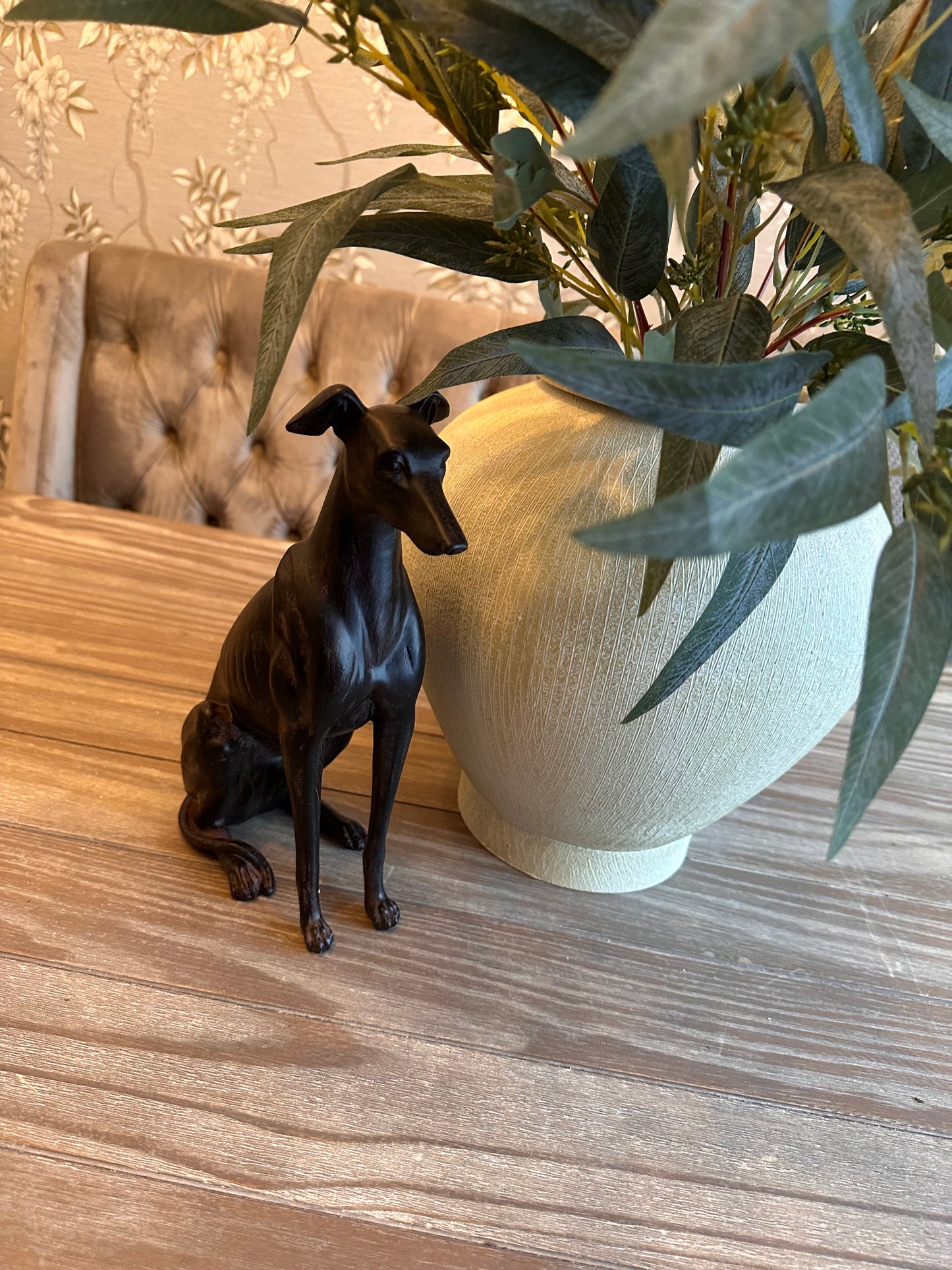 Stunning Sitting Dog
