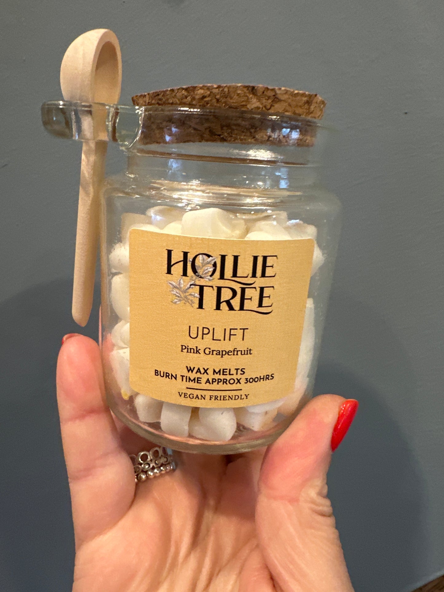 Hollie Tree Wax Pot Melts
