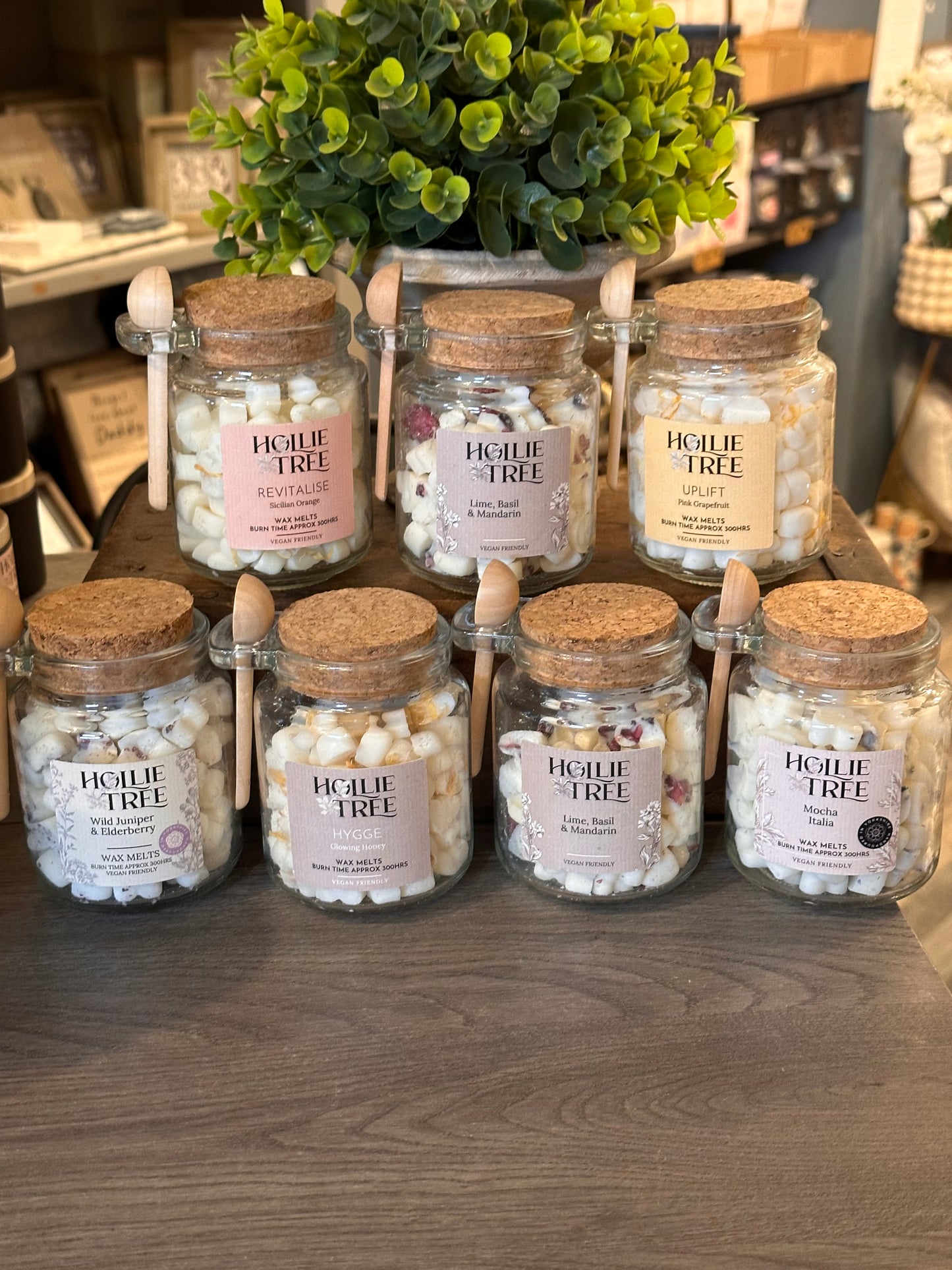 Hollie Tree Wax Pot Melts