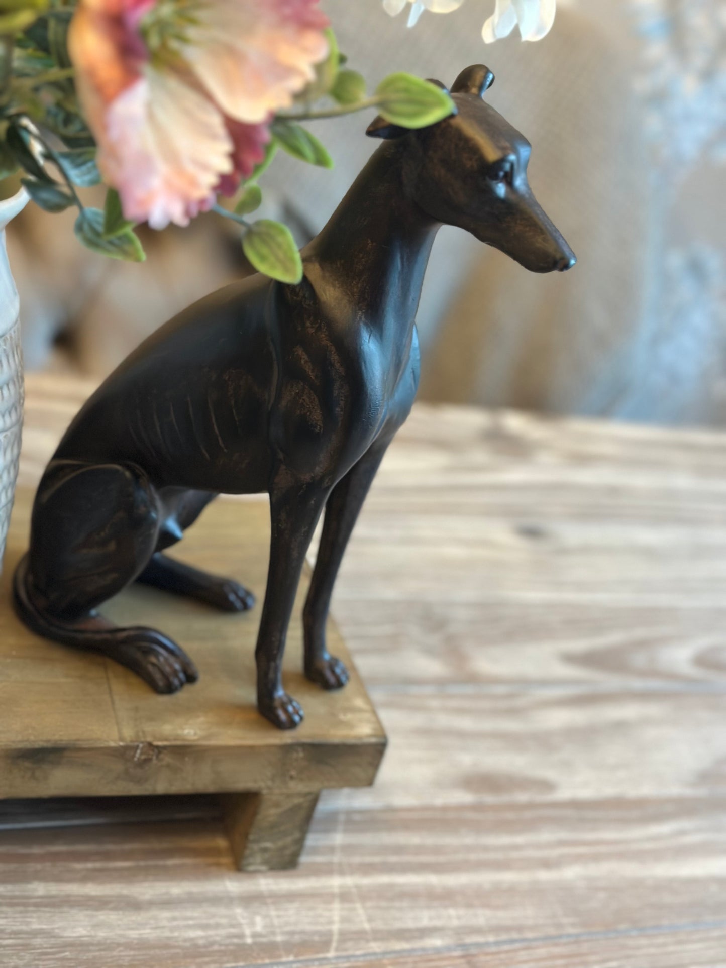 Stunning Sitting Dog