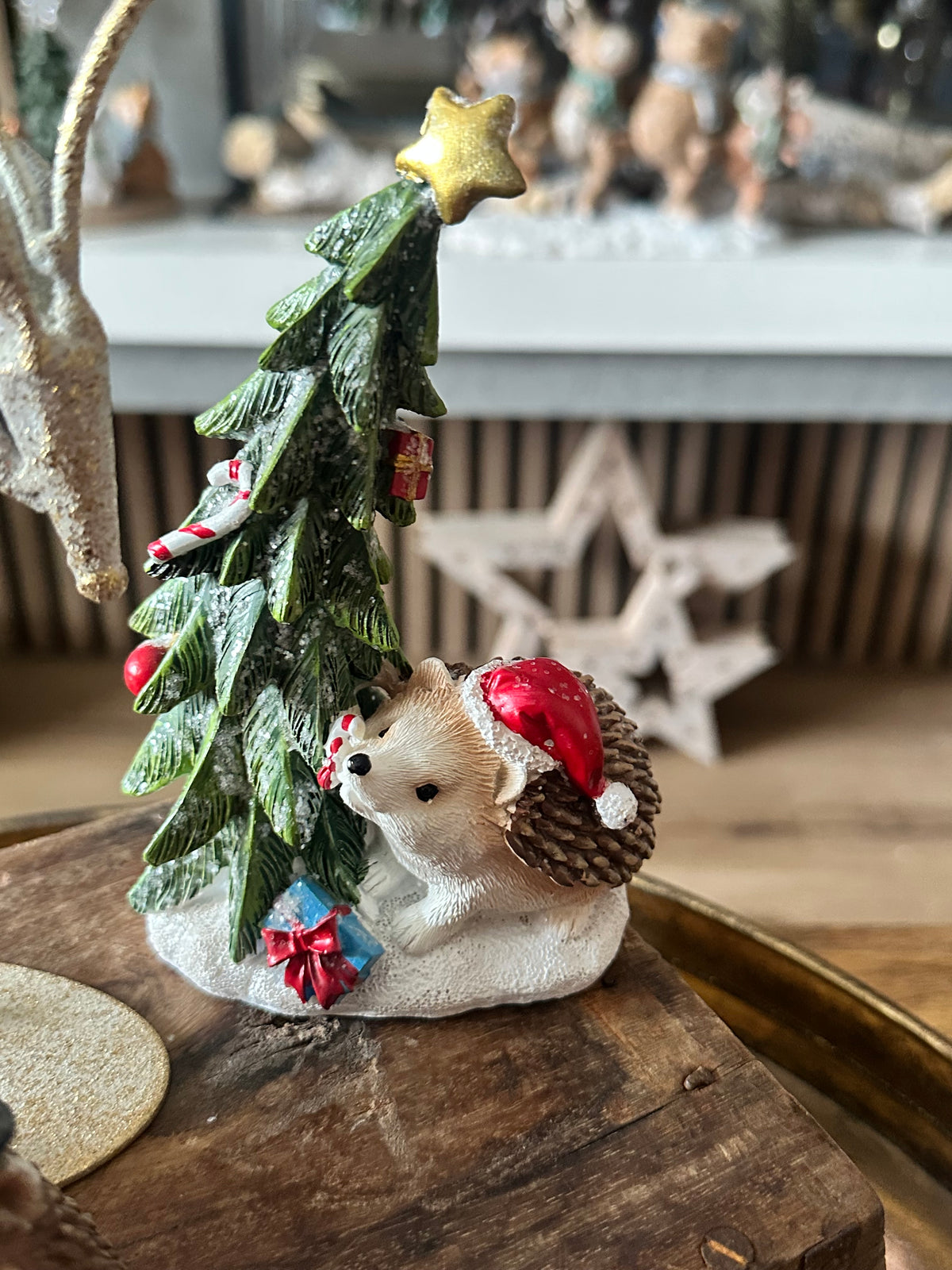 Adorable Hedgehogs | Choice of Two