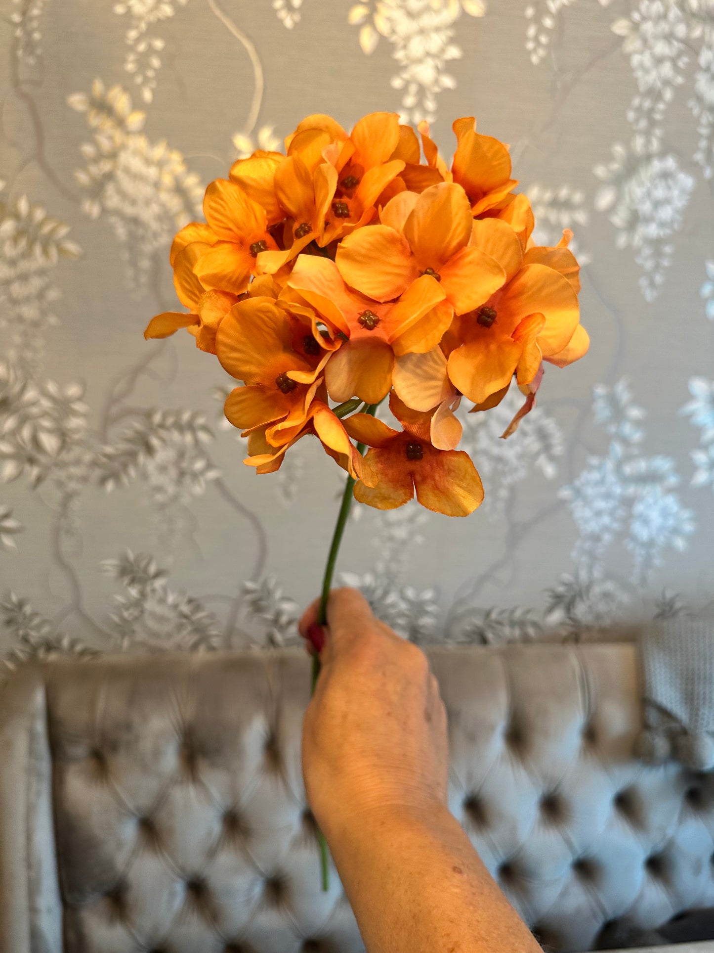Hydrangea Stems Choice Of Five Colours
