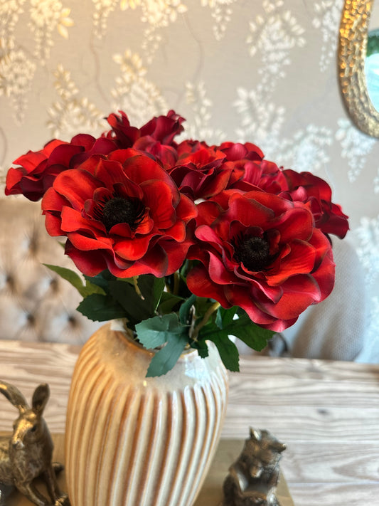 Anemone Red Stem