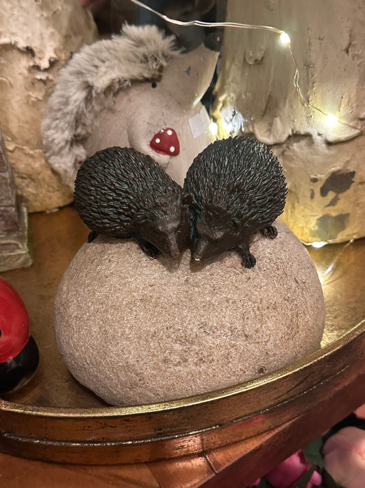 Hedgehogs on Stone
