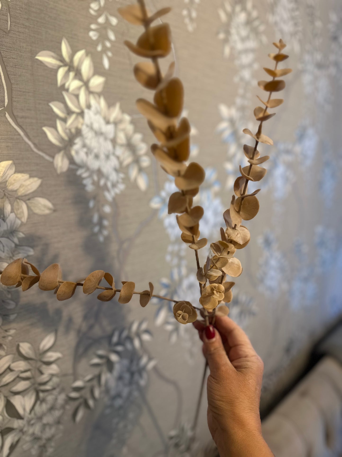 Dusted Eucalyptus Stem Sahara