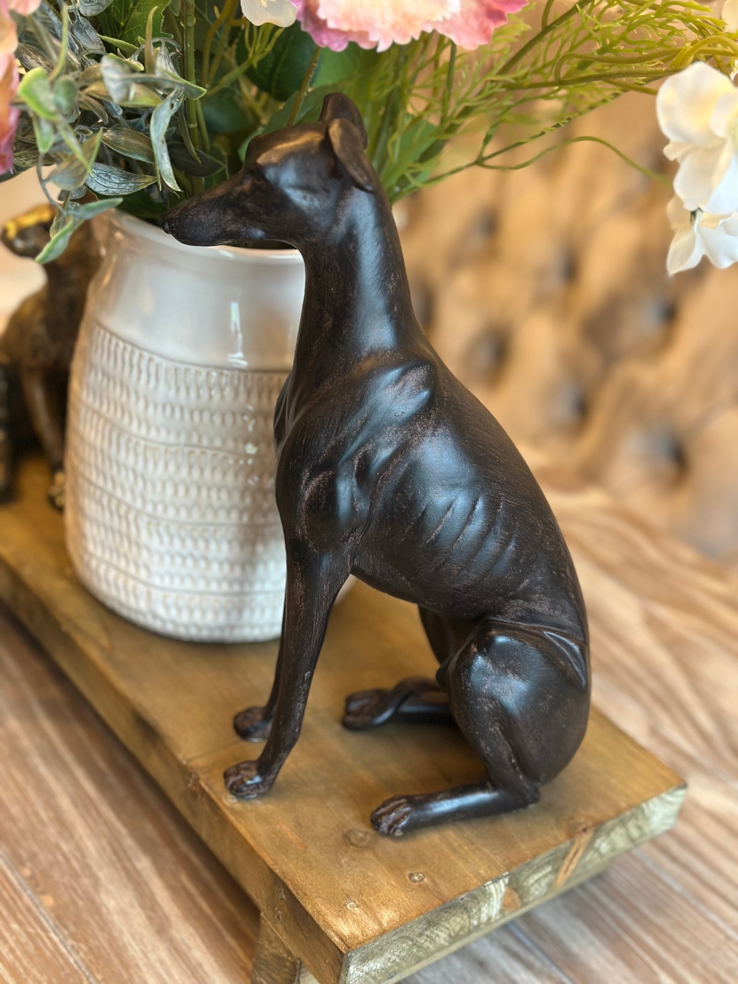 Stunning Sitting Dog