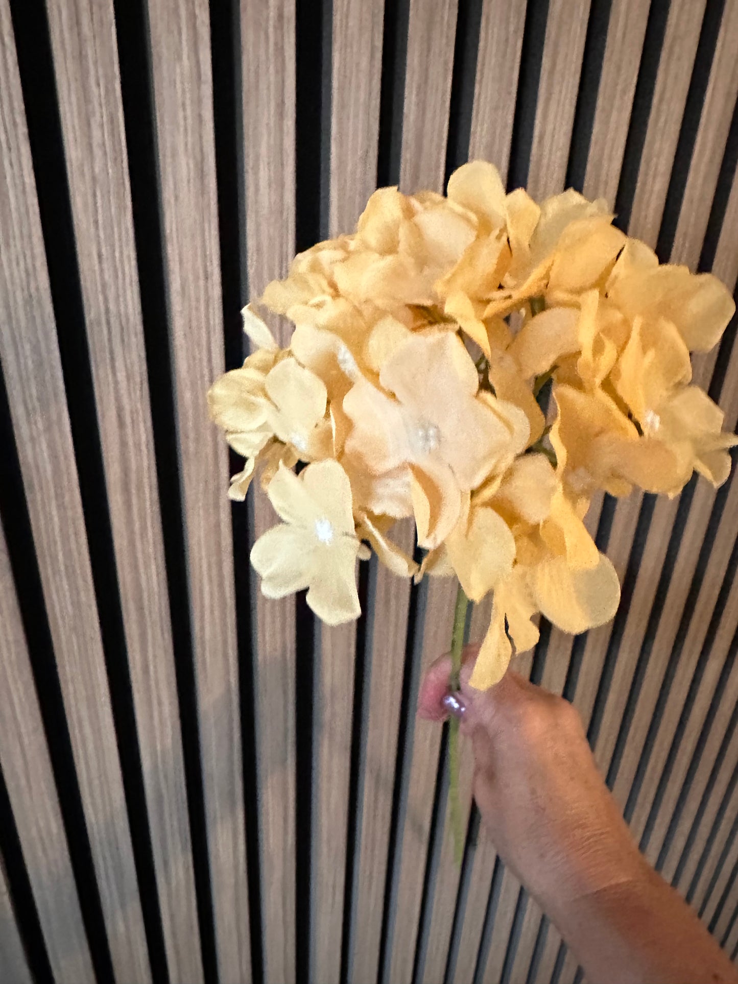 Hydrangea Stems Choice Of Five Colours
