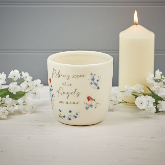 Robin Forget me Not Plant Pot