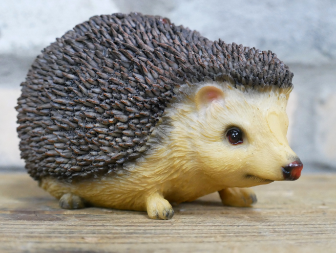 Decorative Hedgehog