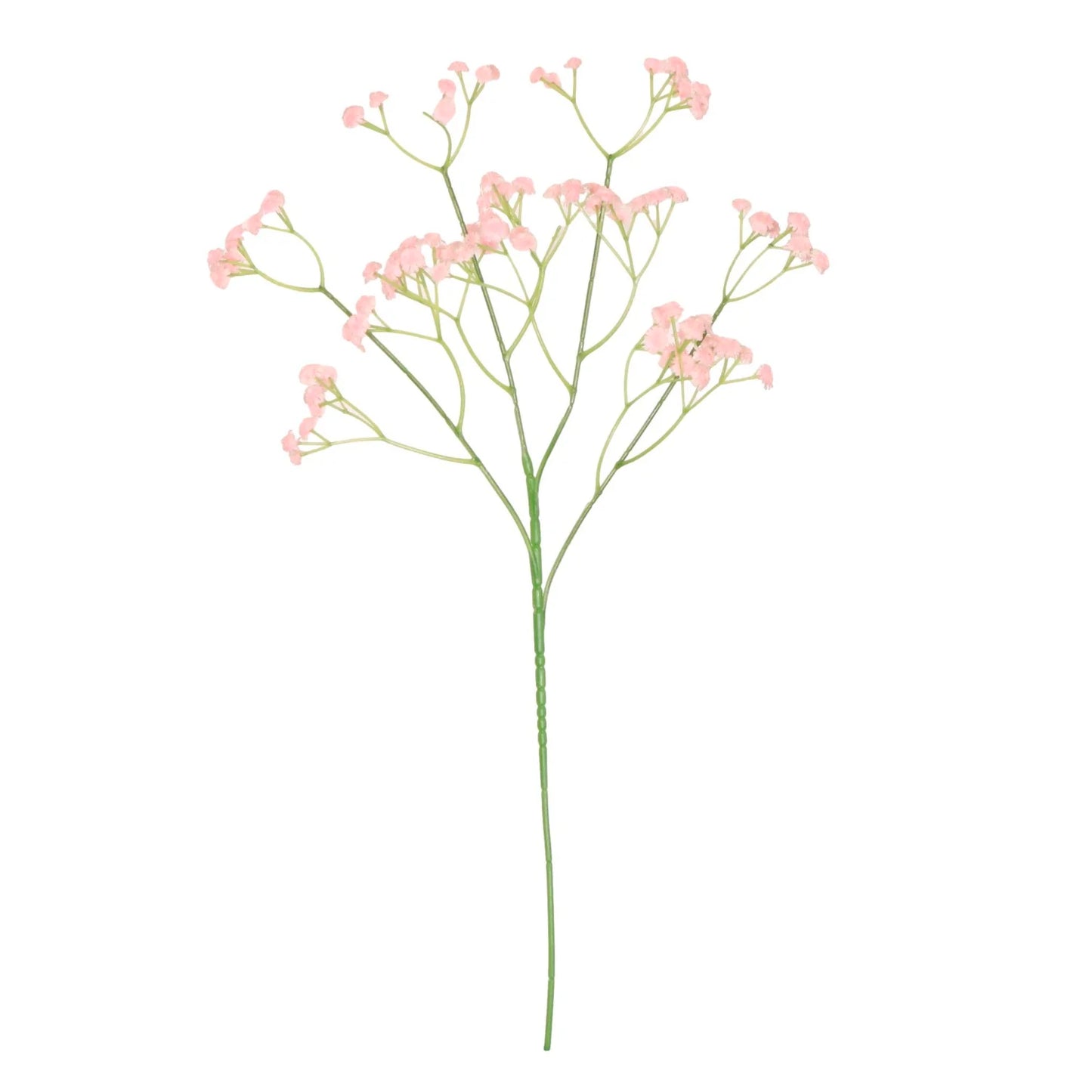 Fluffy Gypsophila Choice of Pink | White