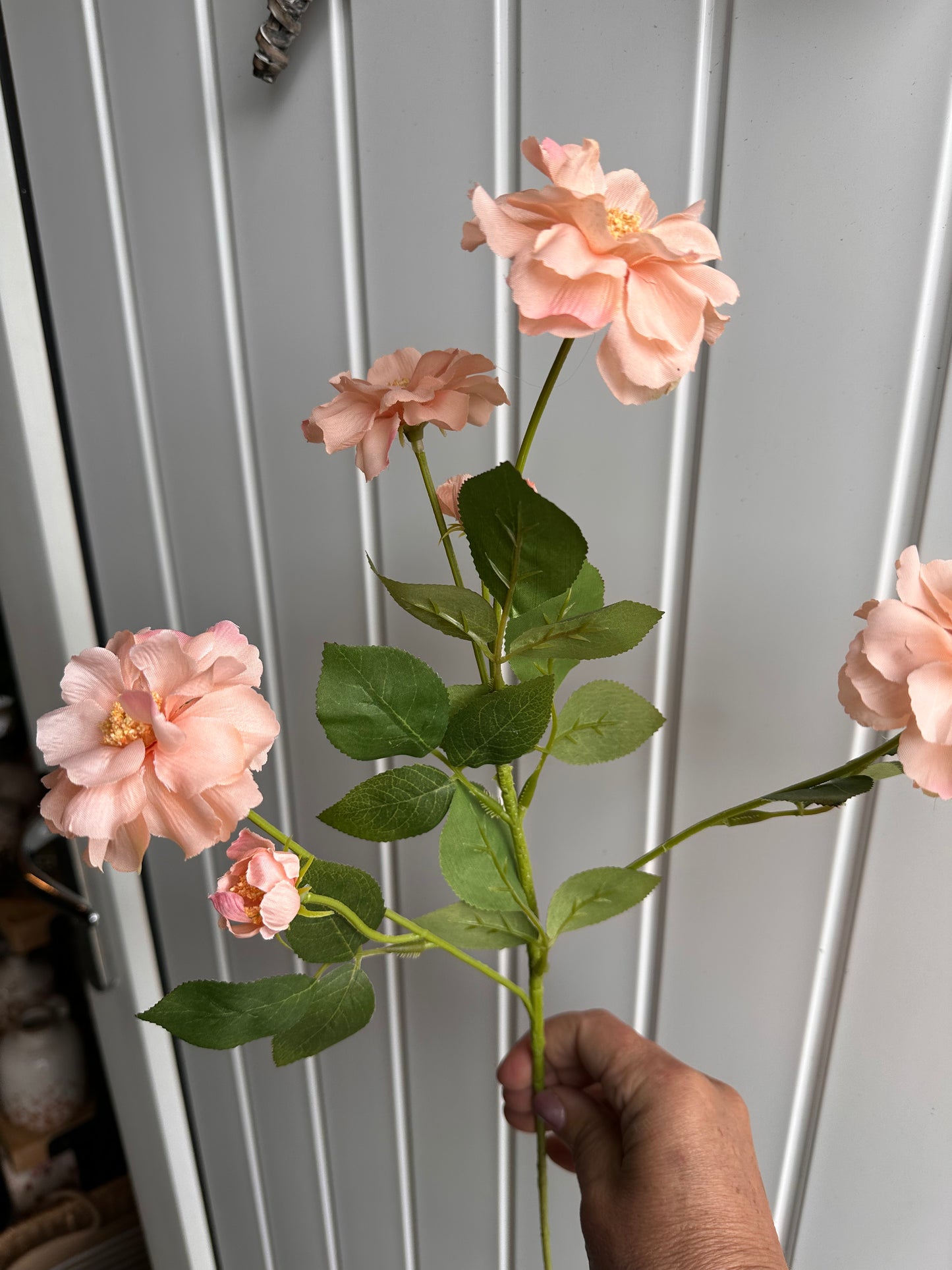 Anastasia Peach Spray